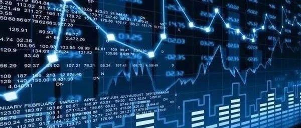 张家口市组织排球项目骨干裁判员参与联赛执裁